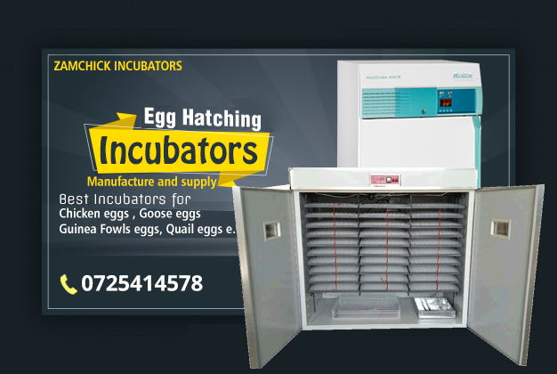 Types and Prices of Poultry Egg Incubators in Nairobi & Kenya 0725414578