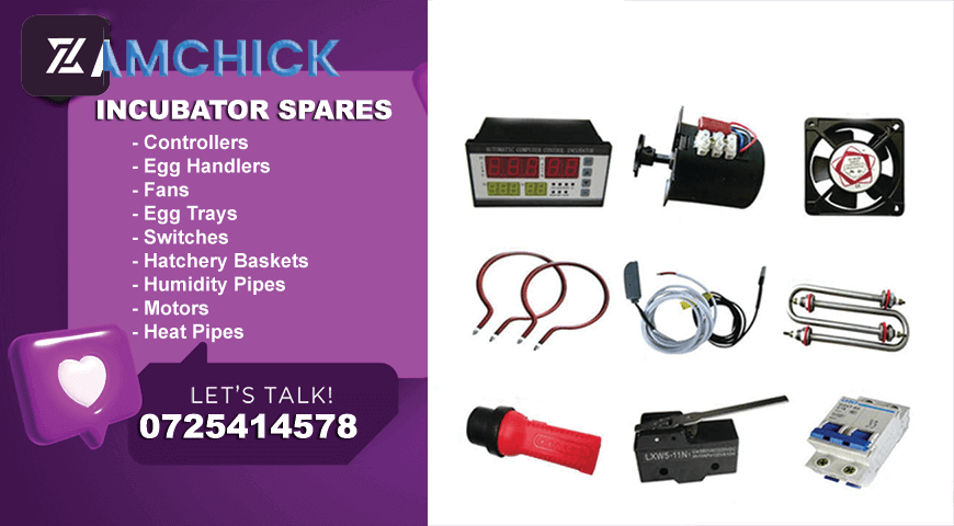 Buy Incubators in Kericho 0725414578 | Excellent Incubator Spare Parts