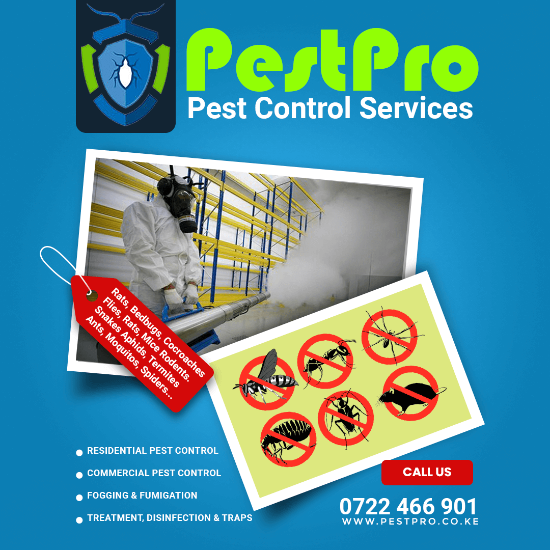 #1 Pest Control Services in Nairobi | 0722566999