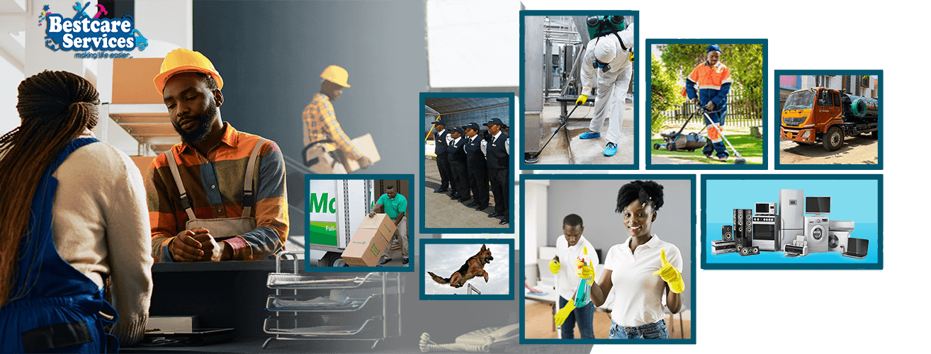 Effective rat control in Nairobi | Best Pest Control Service