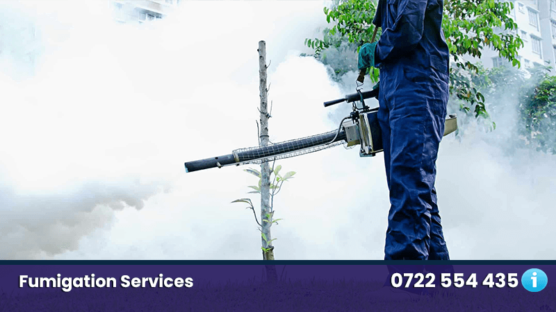 Pest Control Services in Juja and Kenya  › 0770029959