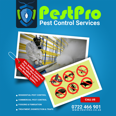 Types of Pests Handled by Pest Control Companies