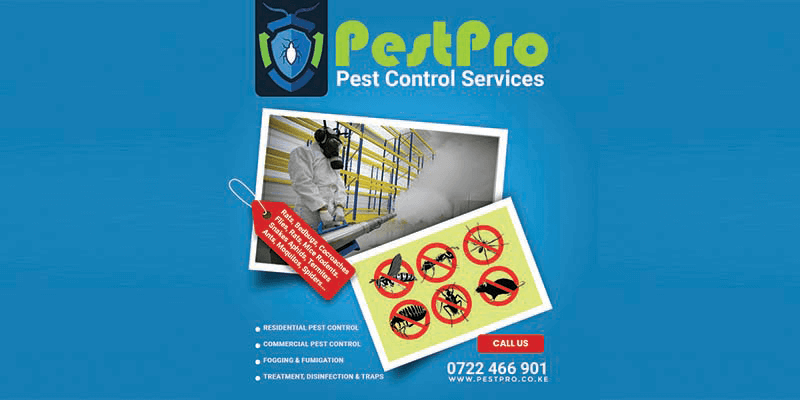 Pest Control Services in Nairobi and Kenya