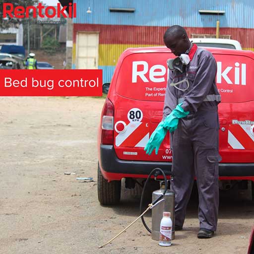 Commercial pest control inspection service — Rentokil Kenya Nairobi