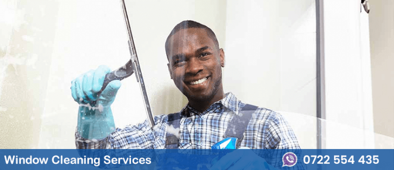 window cleaning services