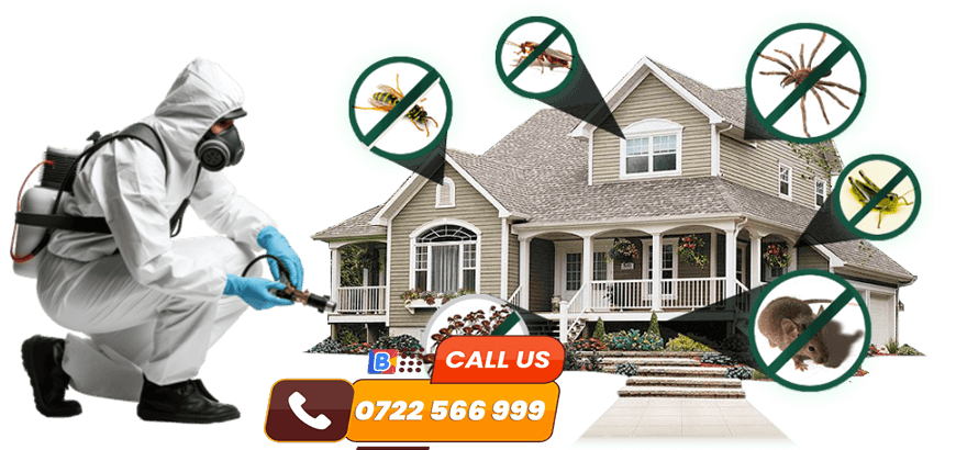 Leading Pest Control Services in Mirema 0722554435