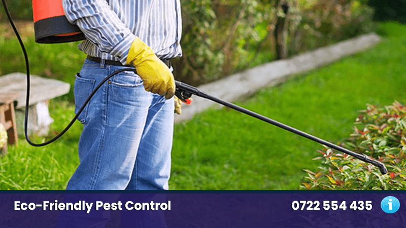 Excellent Pest Control Services in Meru 0722466901