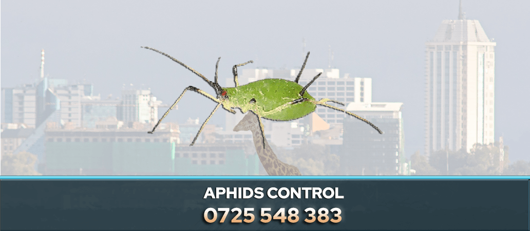 Aphids Control Service in Nairobi, Kenya 0722466999