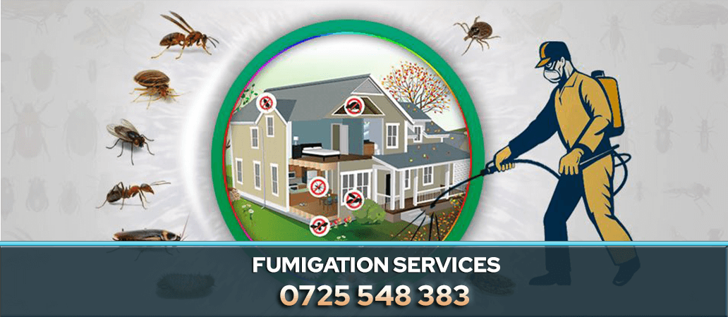 Fumigation Service in Nairobi, Kenya 0722466901