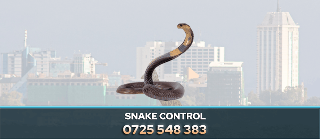 Snake Control Service in Nairobi, Kenya 0722466901