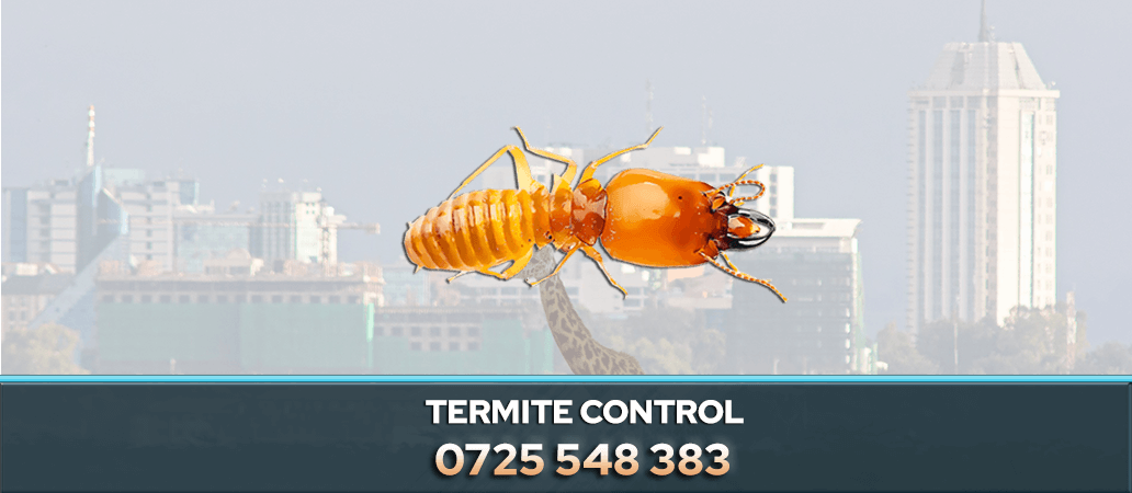 Termite Control and Removal Services in Nairobi 0722466901